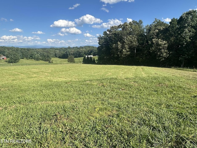 3101 Watson Rd, Loudon, TN 37774 - view of grassy yard with a rural view