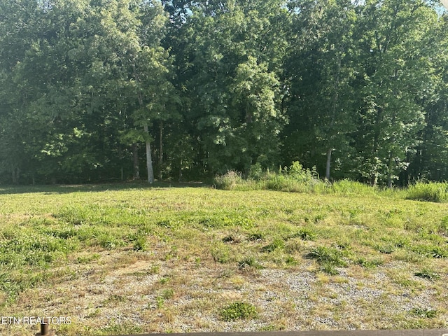 3101 Watson Rd, Loudon, TN 37774 - view of nature