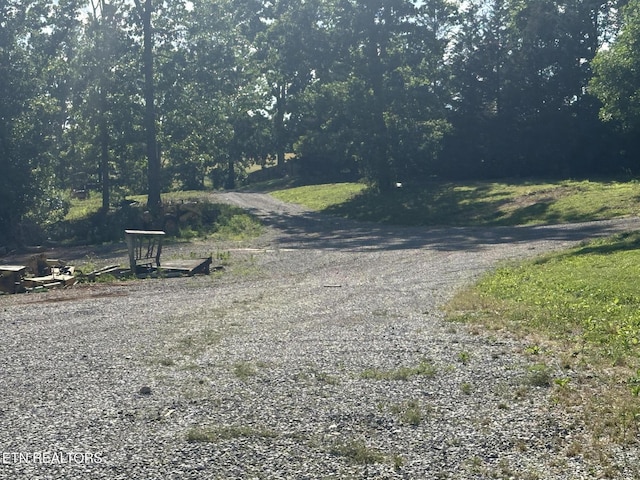 3101 Watson Rd, Loudon, TN 37774 - view of dirt / gravel road