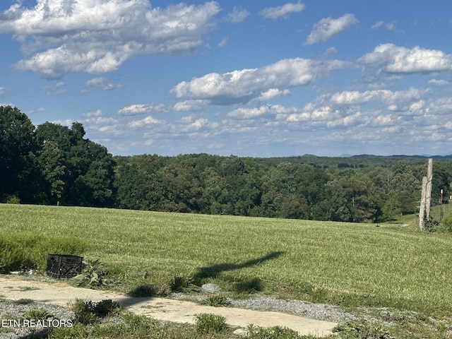 3101 Watson Rd, Loudon, TN 37774 - view of yard with a rural view and a forest view