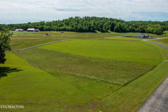 243 W Shore Dr, Rockwood, TN 37854