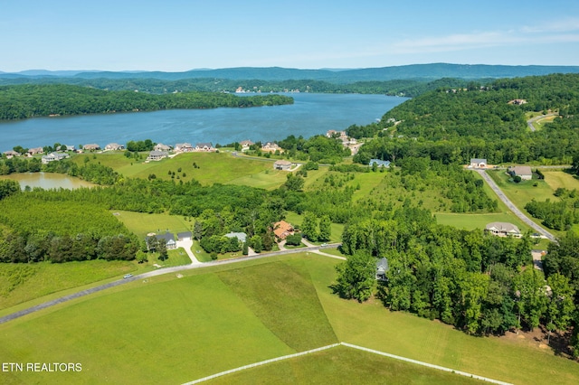243 W Shore Dr, Rockwood, TN 37854