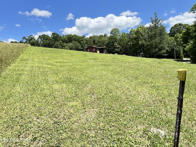 243 Choctaw Ln, Niota, TN 37826 - view of grassy yard featuring a view of countryside