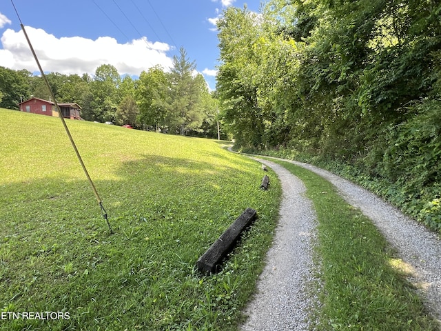 243 Choctaw Ln, Niota, TN 37826 - view of home's community with a lawn and a view of trees
