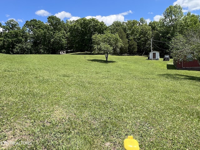 243 Choctaw Ln, Niota, TN 37826 - view of grassy yard