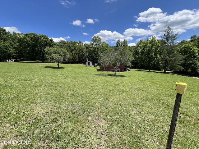 243 Choctaw Ln, Niota, TN 37826 - view of green lawn featuring an outdoor structure