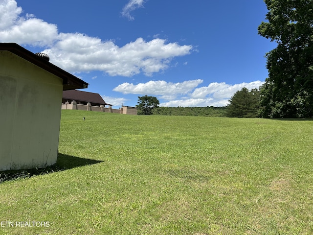 243 Choctaw Ln, Niota, TN 37826 - view of green lawn