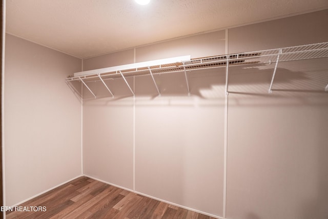 1587 Sweetwater Rd, Philadelphia, TN 37846 - spacious closet with wood finished floors
