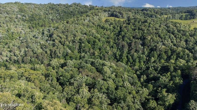 258 Marina Ln, Lafollette, TN 37766 - view of property location with a heavily wooded area