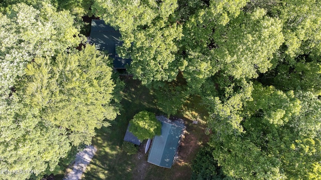 258 Marina Ln, Lafollette, TN 37766 - aerial view of property's location