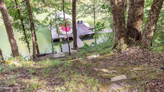 258 Marina Ln, Lafollette, TN 37766 - dock area with a water view