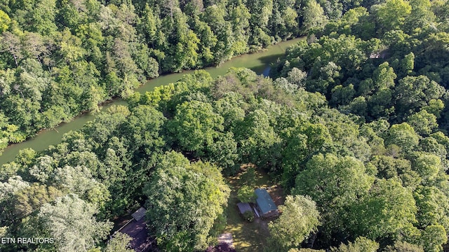 258 Marina Ln, Lafollette, TN 37766 - view of property location featuring a nearby body of water and a heavily wooded area
