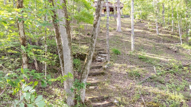 258 Marina Ln, Lafollette, TN 37766 - view of nature