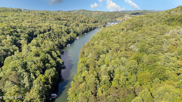 258 Marina Ln, Lafollette, TN 37766 - aerial overview of property's location featuring a heavily wooded area and a nearby body of water