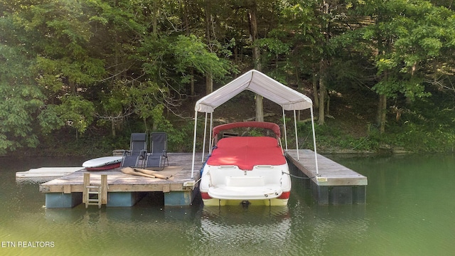 258 Marina Ln, Lafollette, TN 37766 - dock area with a water view