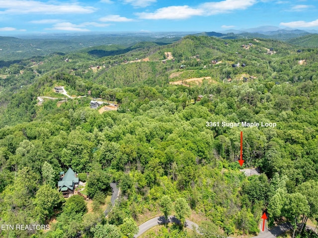 3361 Sugar Maple Loop Rd, Sevierville, TN 37862