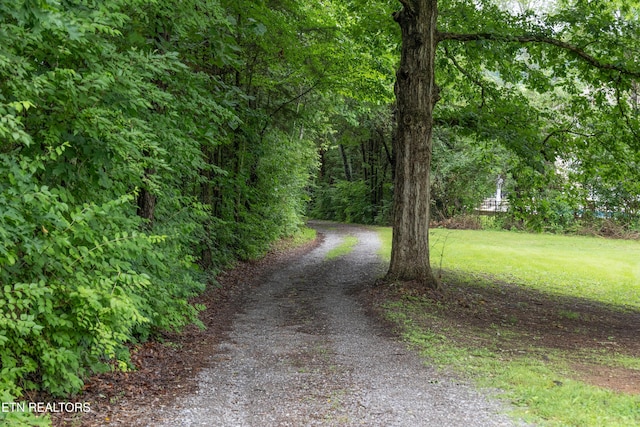10628 Sandpiper Ln, Knoxville, TN 37922 - view of street