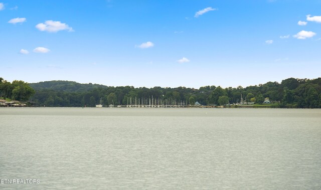 10628 Sandpiper Ln, Knoxville, TN 37922 - water view featuring a forest