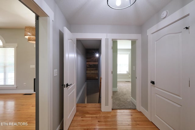 1223 Calderwood Hwy, Maryville, TN 37801 - photo 29