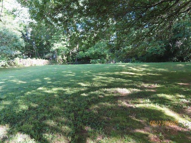 5820 Rockwood Ln, Knoxville, TN 37921 - view of green lawn