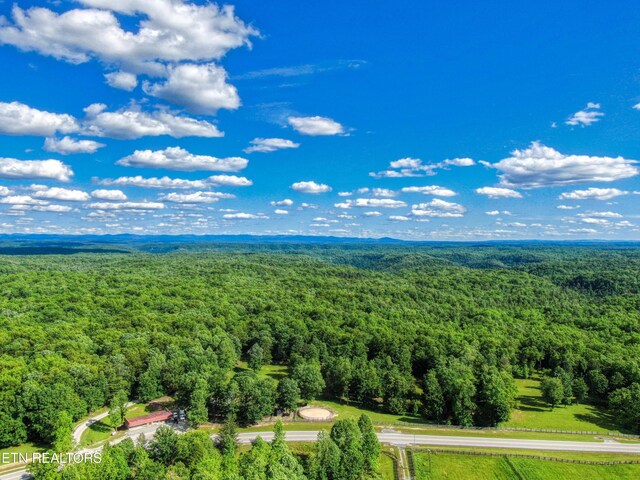 3516 Leatherwood Ford Rd, Jamestown, TN 38556 - photo 43