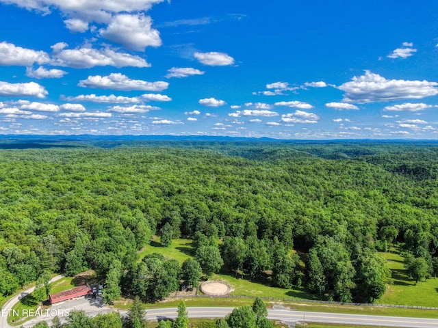 3516 Leatherwood Ford Rd, Jamestown, TN 38556 - photo 44