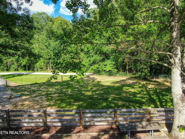 3516 Leatherwood Ford Rd, Jamestown, TN 38556 - photo 28