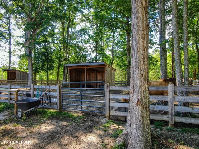 3516 Leatherwood Ford Rd, Jamestown, TN 38556 - photo 32
