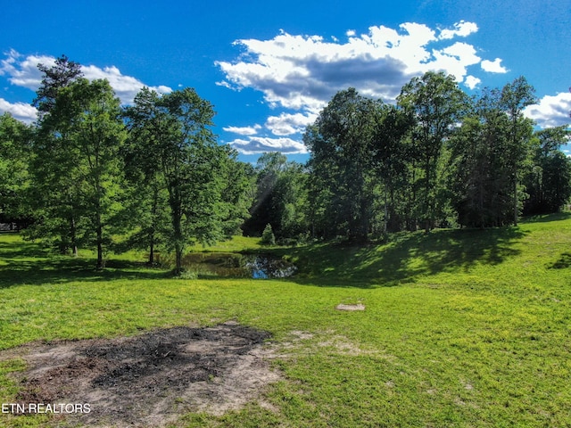 3516 Leatherwood Ford Rd, Jamestown, TN 38556 - photo 35