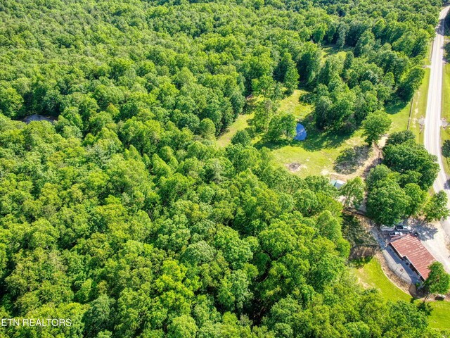 3516 Leatherwood Ford Rd, Jamestown, TN 38556 - photo 47