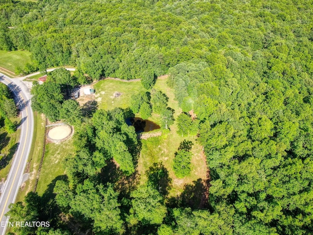 3516 Leatherwood Ford Rd, Jamestown, TN 38556 - photo 48
