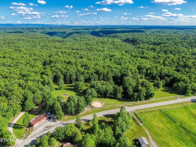 3516 Leatherwood Ford Rd, Jamestown, TN 38556 - photo 41