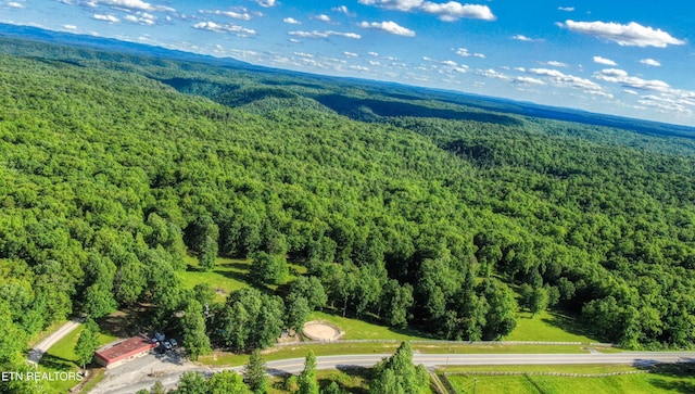 3516 Leatherwood Ford Rd, Jamestown, TN 38556 - photo 40