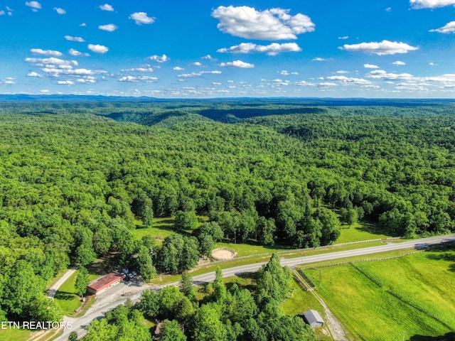 3516 Leatherwood Ford Rd, Jamestown, TN 38556 - photo 39