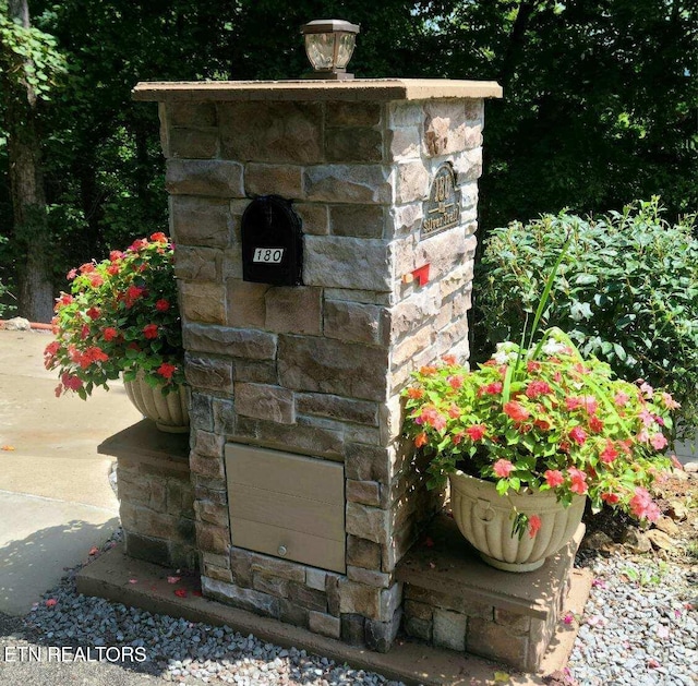 180 Silver Trl, New Tazewell, TN 37825 - exterior view