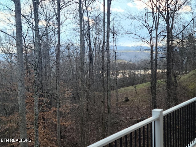 180 Silver Trl, New Tazewell, TN 37825 - water view