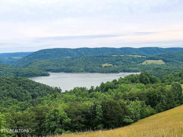 180 Silver Trl, New Tazewell, TN 37825 - view of mountain backdrop featuring a forest and a large body of water