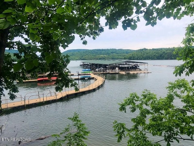 180 Silver Trl, New Tazewell, TN 37825 - water view featuring a floating dock and a forest