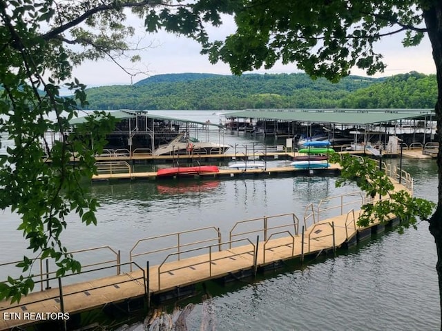 180 Silver Trl, New Tazewell, TN 37825 - dock with a water view and a forest view