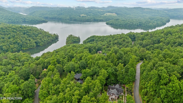 180 Silver Trl, New Tazewell, TN 37825 - photo 3