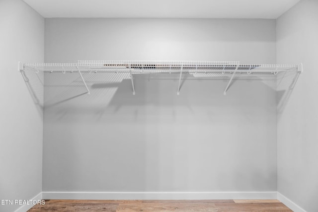 319 S Elmwood St, Knoxville, TN 37914 - spacious closet featuring wood finished floors