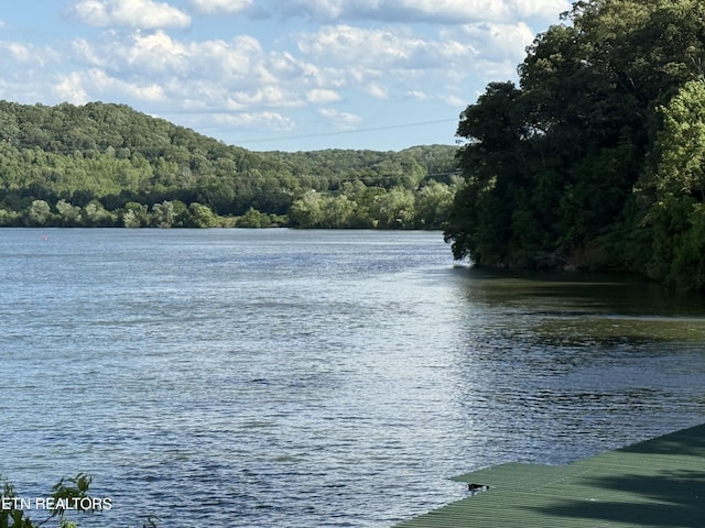1101 Main St Unit 19, Loudon, TN 37774 - water view with a forest