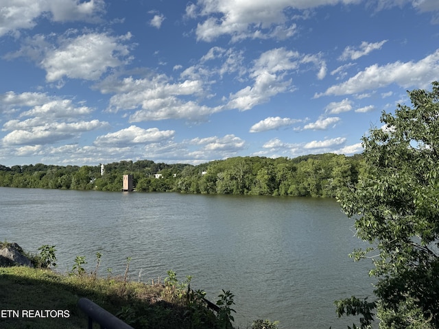1101 Main St Unit 19, Loudon, TN 37774 - water view with a heavily wooded area