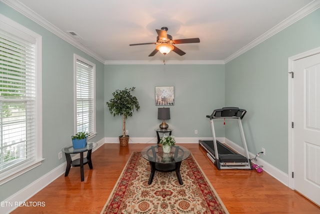 1101 Main St Unit 19, Loudon, TN 37774 - living area with a ceiling fan, light wood-style floors, and crown molding