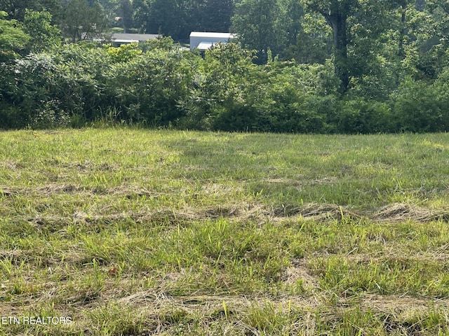 Wagon Ln, Speedwell, TN 37870