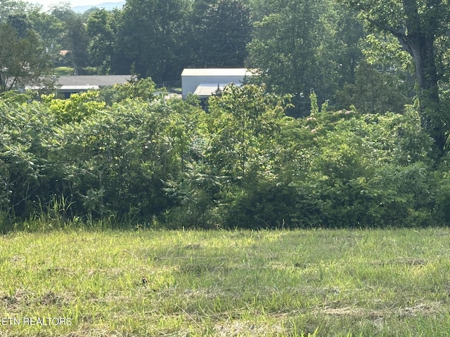 Wagon Ln, Speedwell, TN 37870