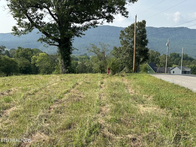 Wagon Ln, Speedwell, TN 37870