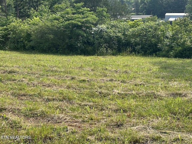 Wagon Ln, Speedwell, TN 37870