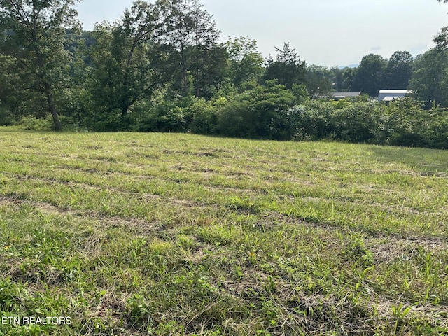 Wagon Ln, Speedwell, TN 37870
