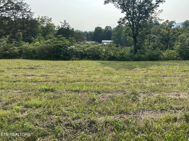 Wagon Ln, Speedwell, TN 37870